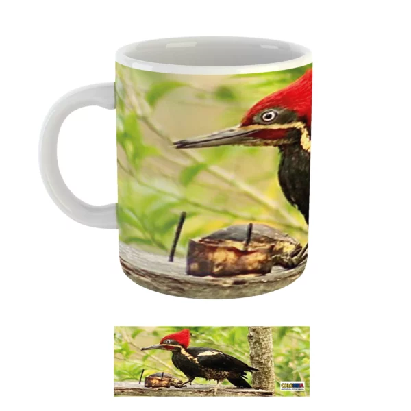 Regalos Colombianos -Mug Pájaro Carpintero - Copacabana Antioquia