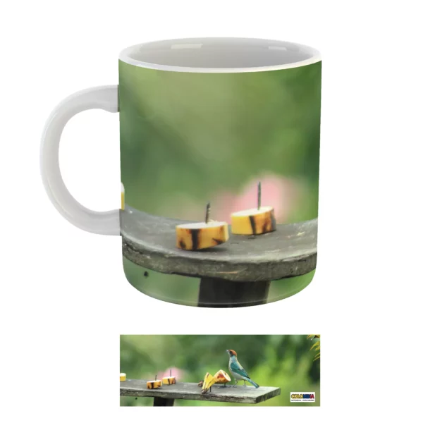 Regalos Colombianos -Mug Tángara - Copacabana Antioquia